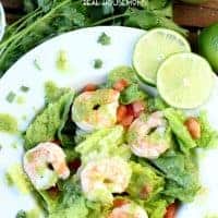 You have to try this Avocado Cilantro Lime Shrimp Salad! It’s light, fresh and super flavorful - not to mention low-carb and gluten-free!