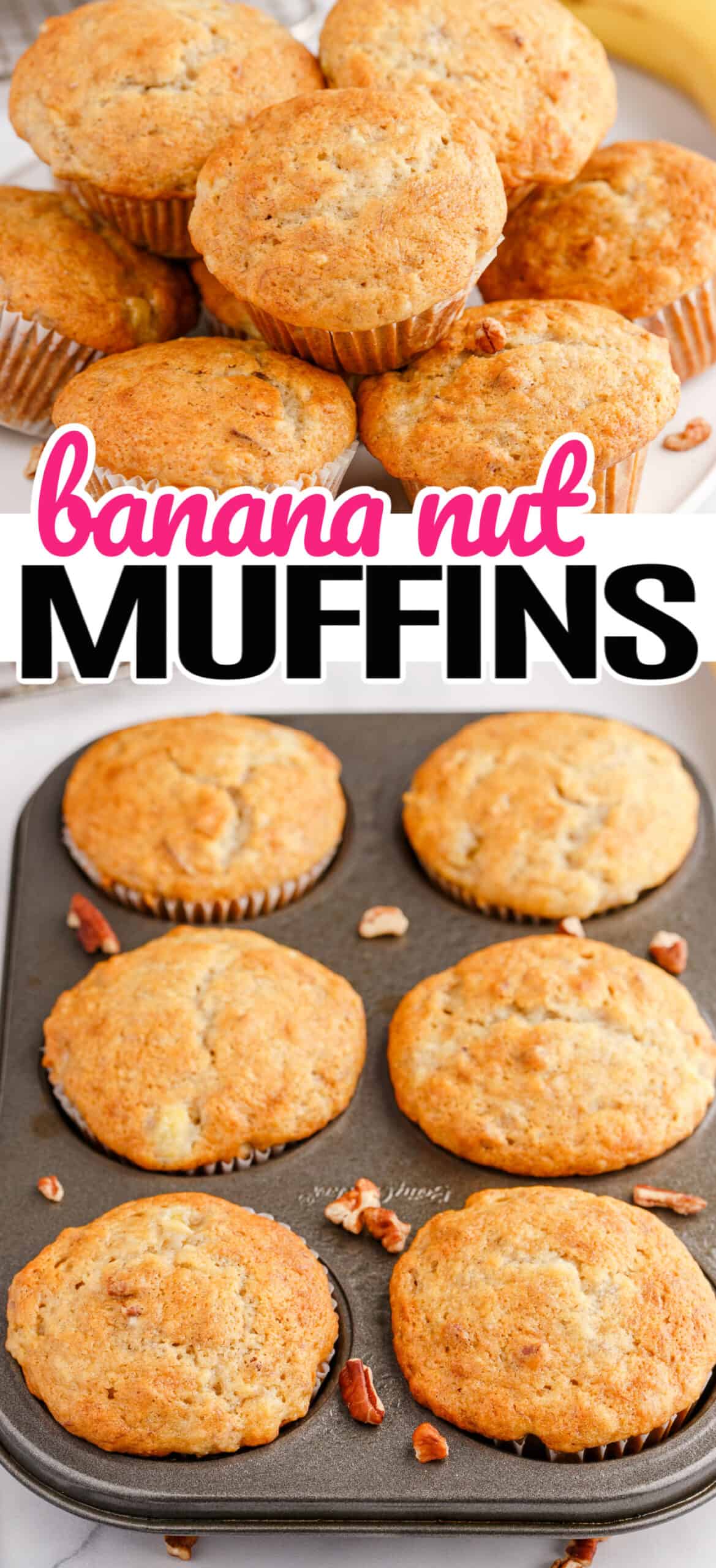 banana-nut-muffin-giulianos-bakery