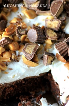 best-reeses-peanut-butter-chocolate-cake-by-noshing-with-the-nolands-3-custom-2-custom