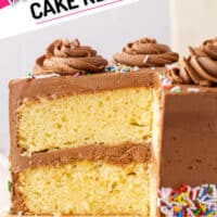 close up of view of a birthday cake decorated with sprinkles and with title of the post on top of the image