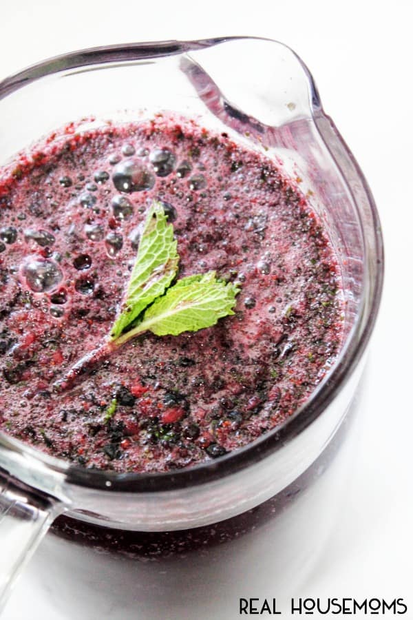 Blueberry Mint Spritzer - IN CONTENT 2