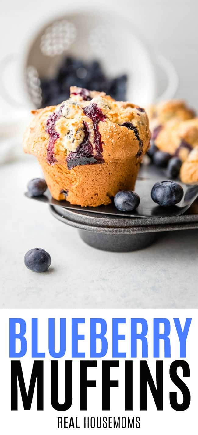single blueberry muffin on a muffin tray