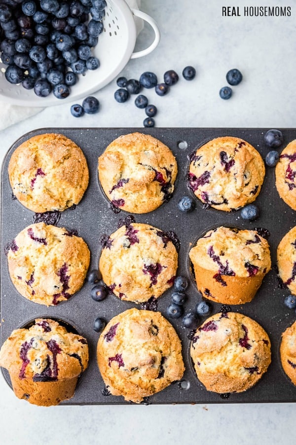 tray of blueberry muffins