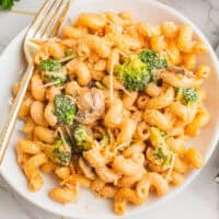 square image of broccoli pasta on a plate with a fork