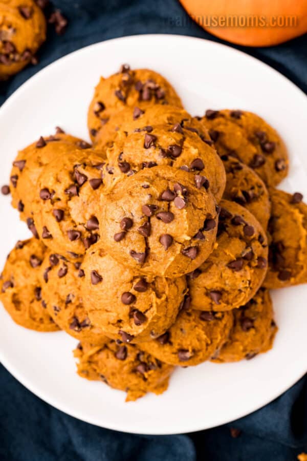 looking down at a plate of cake mix pumpkin chocolate chips cookies