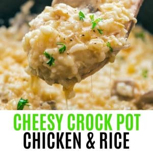 Crockpot Chicken and Rice ⋆READER FAVORITE ⋆ Real Housemoms