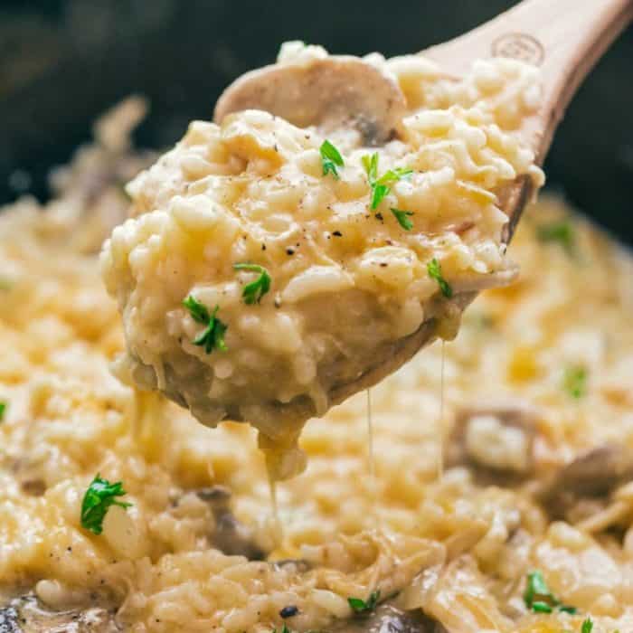 Close up of chicken and rice on a spoon