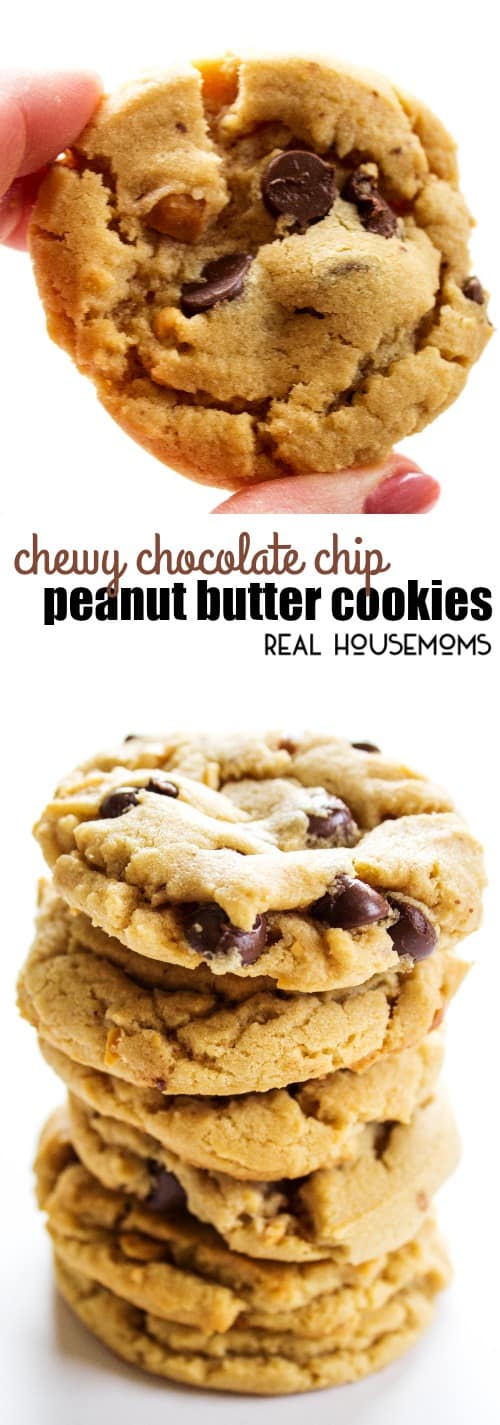 Chewy Chocolate Chip Peanut Butter Cookies ⋆ Real Housemoms