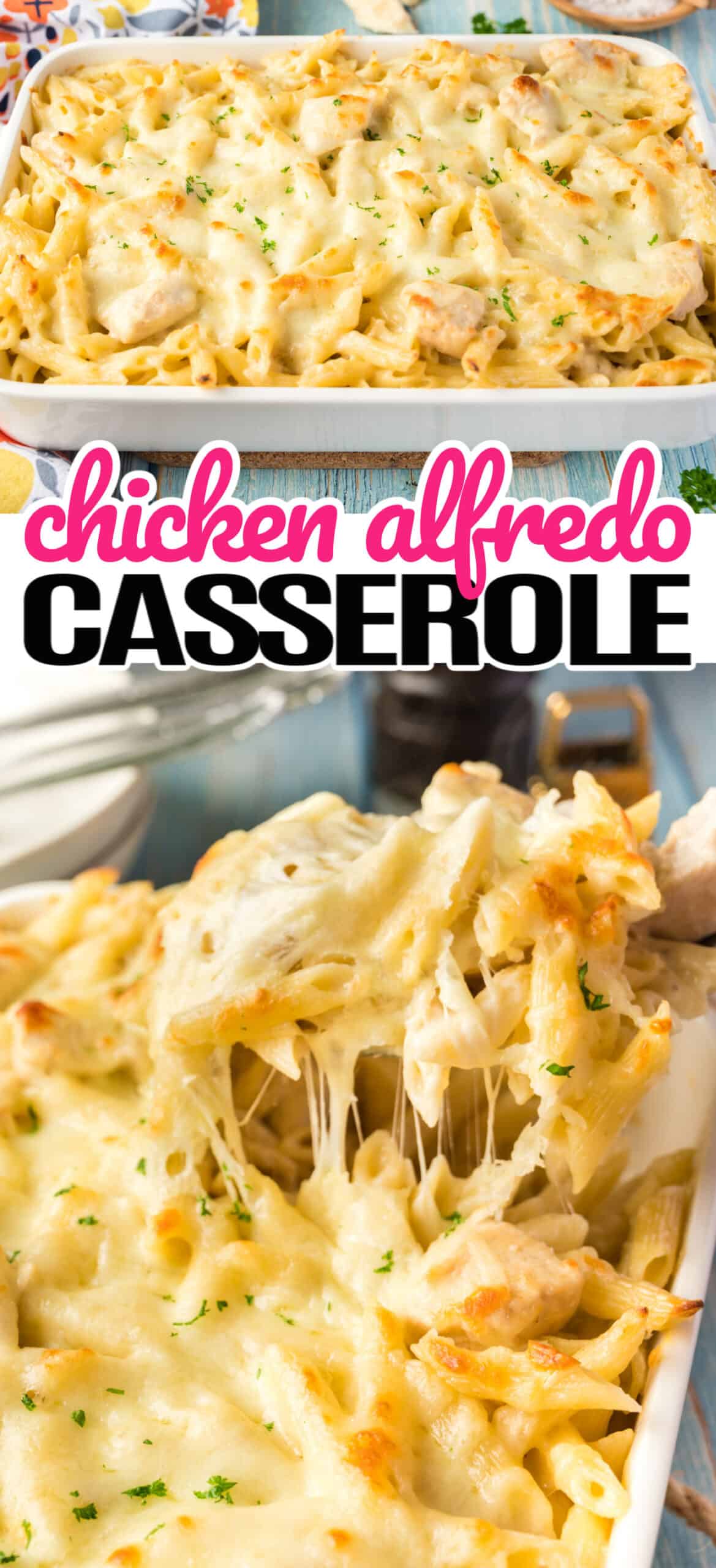 Chicken Alfredo Casserole ⋆ Real Housemoms