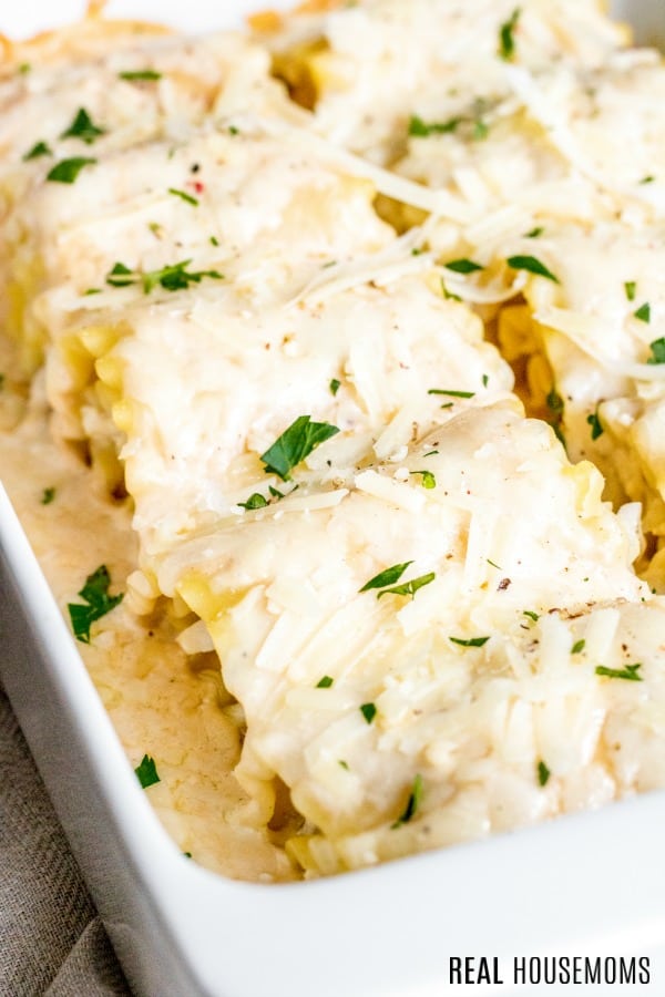 close up of chicken alfredo lasagna roll ups in a baking dish covered in alfredo sauce