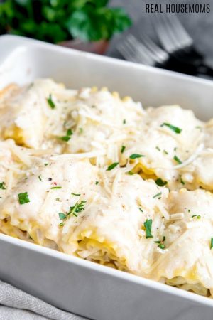 Chicken Alfredo Lasagna Roll Ups