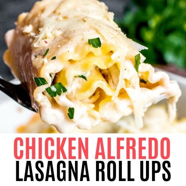 square picture of chicken alfredo lasagna roll ups with text