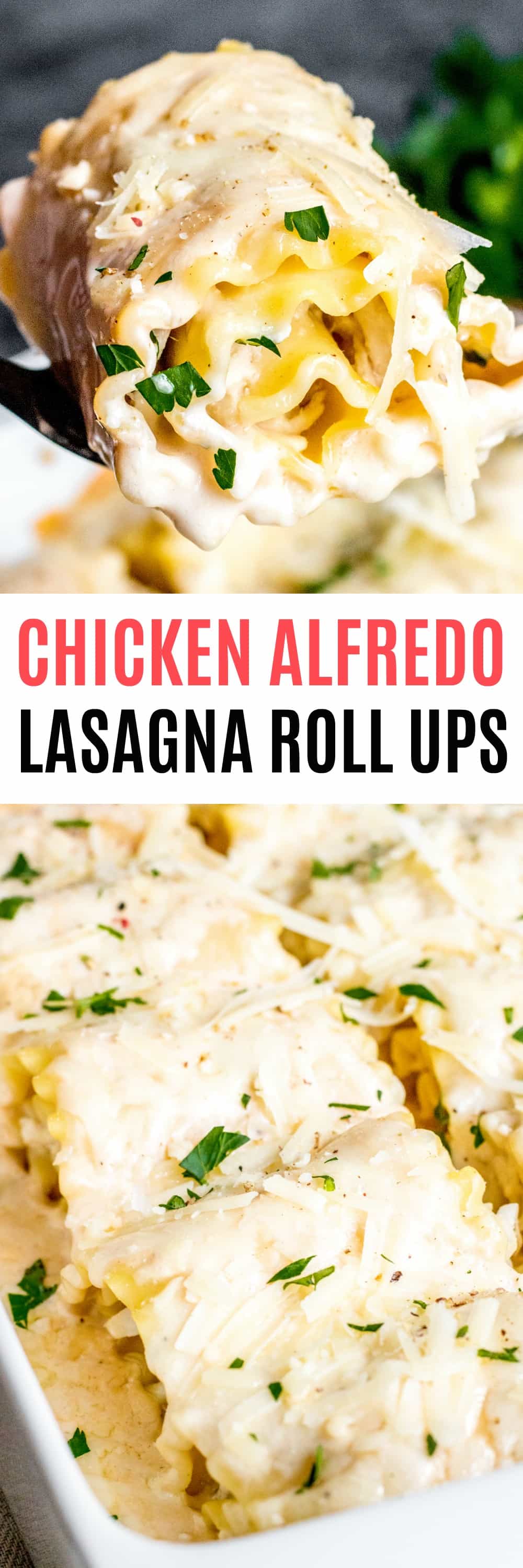 Chicken Alfredo Lasagna Roll Ups ⋆ Real Housemoms