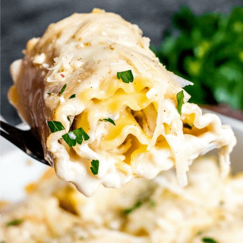 Lasagna Rolls With Meat And Ricotta Cheese