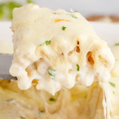 square image of a chicken alfredo lasagna roll up on a spatula over the pan