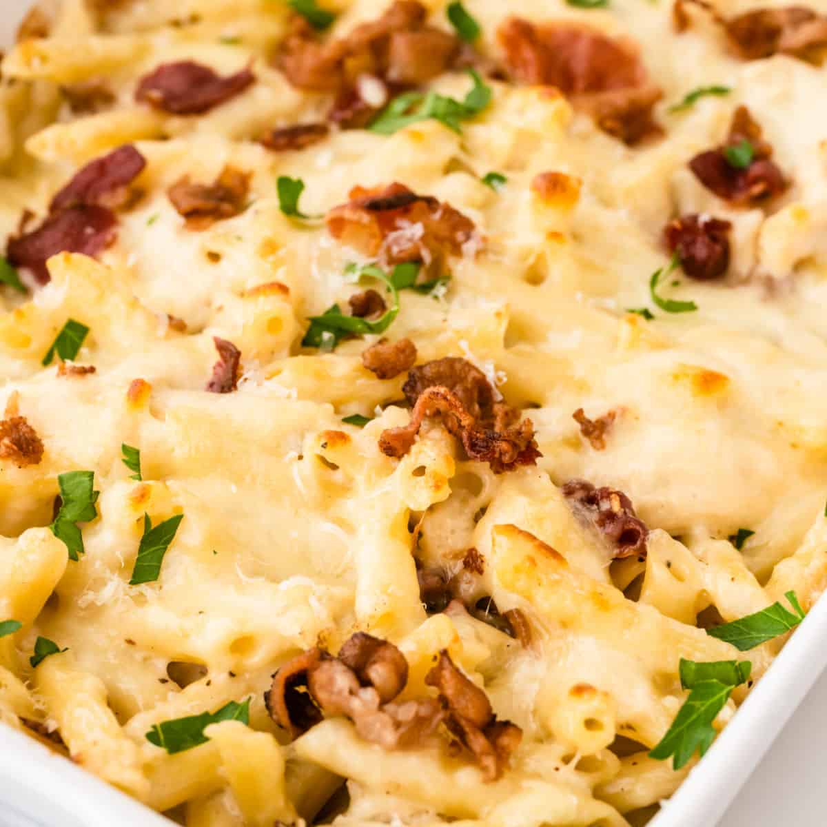 square image of chicken bacon ranch pasta bake with parsley and bacon on top