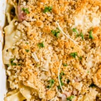 square close up of chicken cordon bleu casserole with breadcrumb topping