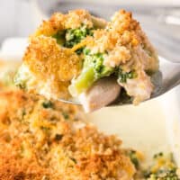 square close up image of a spoonful of chicken divan