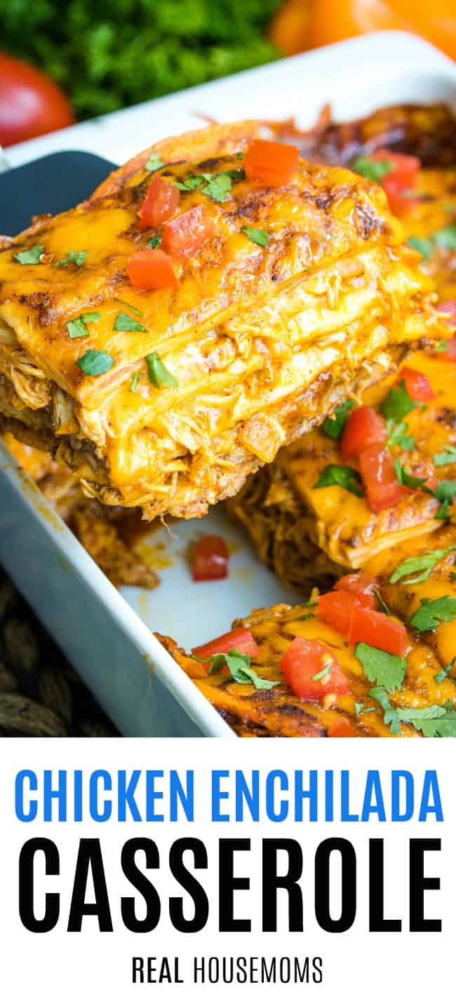 slice of chicken enchilada casserole being lifted from baking dish
