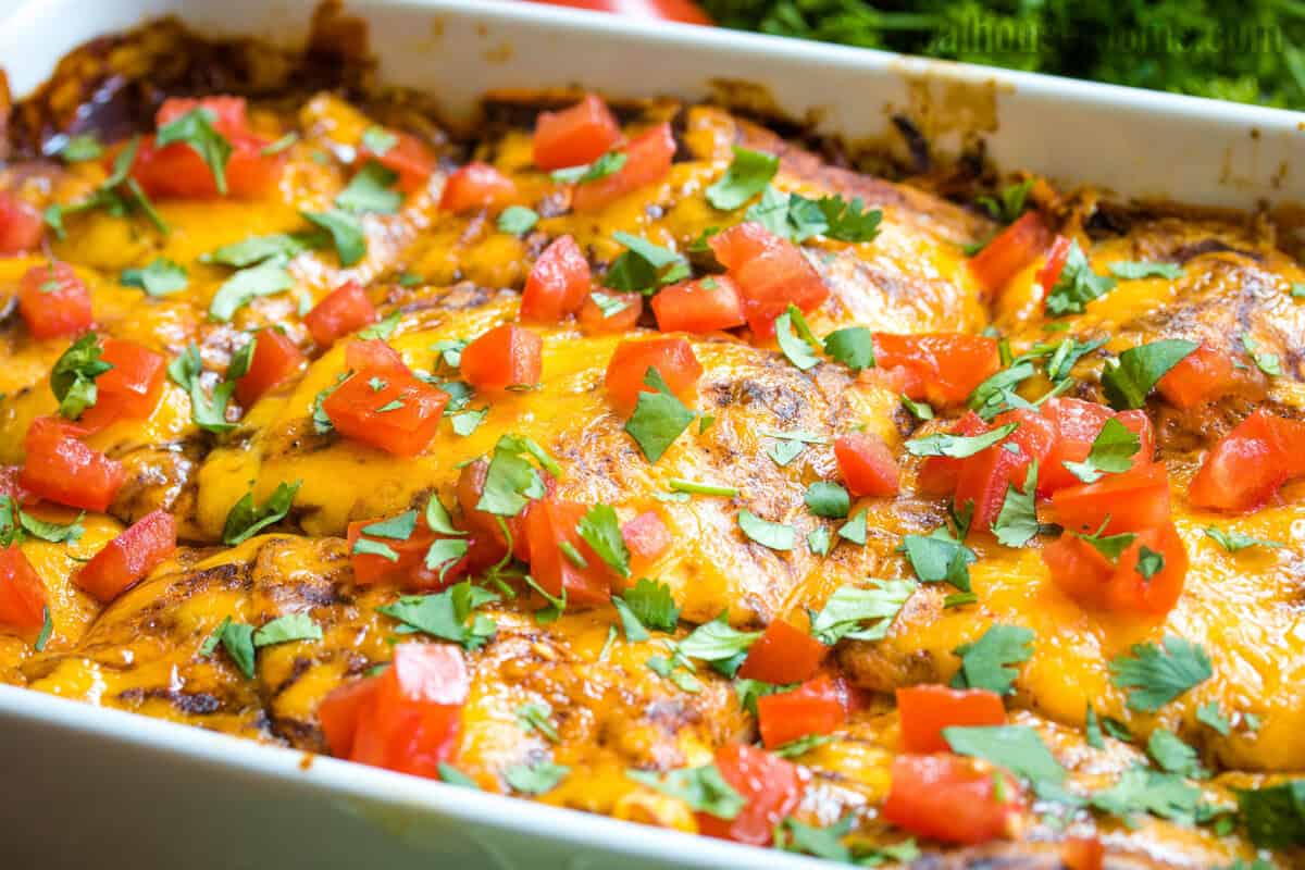 angled view of chicken enchilada casserole topped with chopped tomatoes and cilantro in a white baking dish