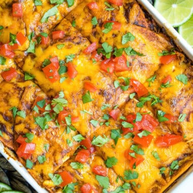 square image of chicken enchilada casserole in a baking dish