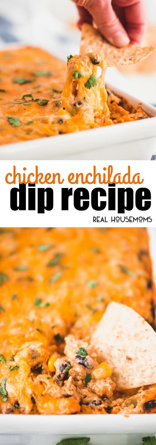 Chicken Enchilada Dip ⋆ Real Housemoms