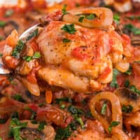 square image of chicken marengo on a serving spoon over the baking dish