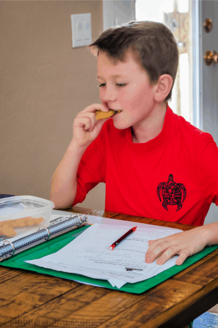 boy snacking on Yummy Dino Buddies while doing homework