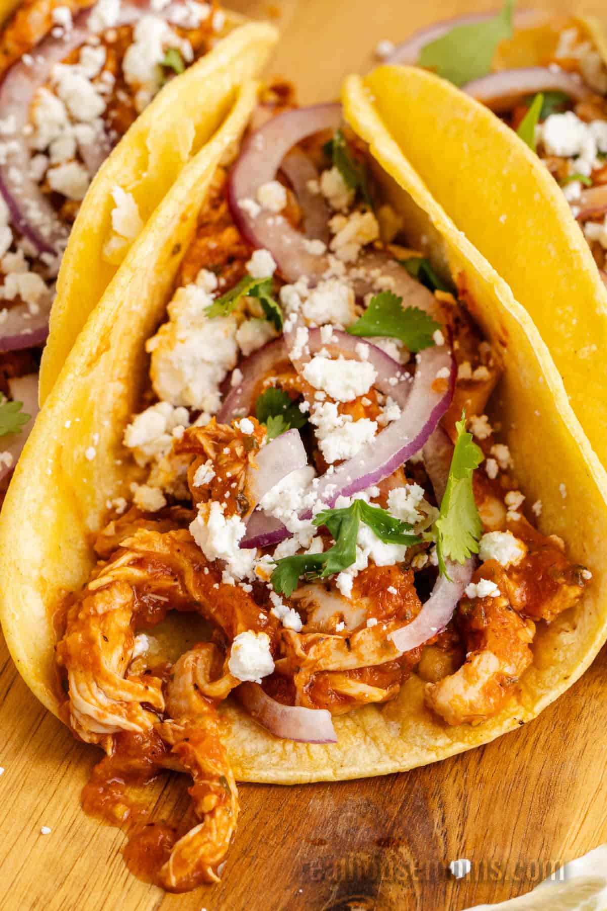 close up of a chicken tinga taco with cotija, red onion, and cilantro