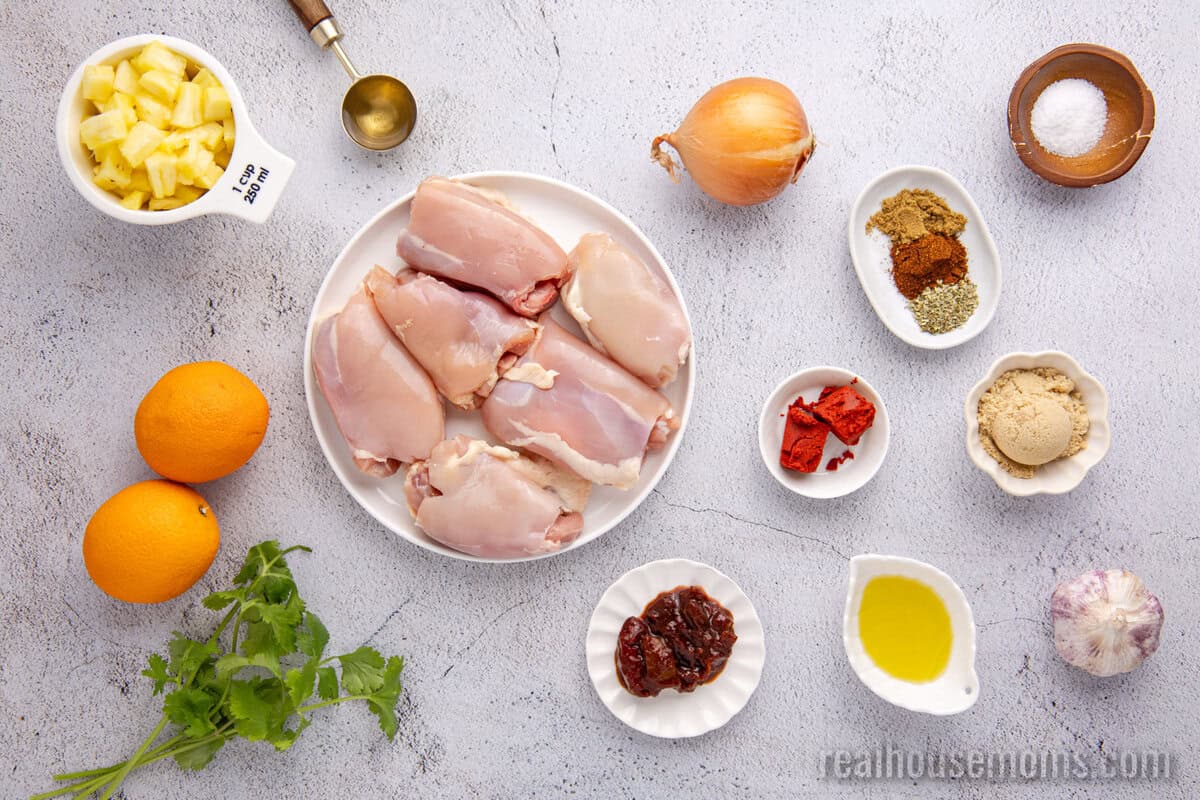 looking down at ingredients to make chicken al pastor on a counter