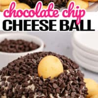 top picture is of a chocolate chip cheese ball on a plate with Nilla wafers, bottom picture is a whole chocolate chip cheeseball with wafers around the cheese ball with the title of the post in the middle of the two pictures with pink and black lettering