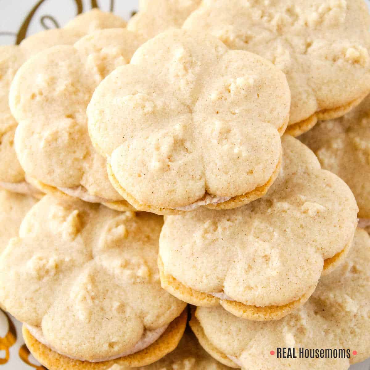 Cinnamon Spritz Cookies - JavaCupcake