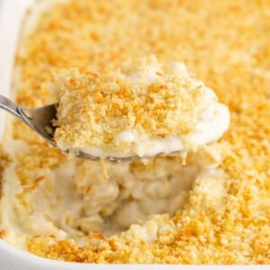 square image of a spoonful of classic baked macaroni and cheese over the baking dish