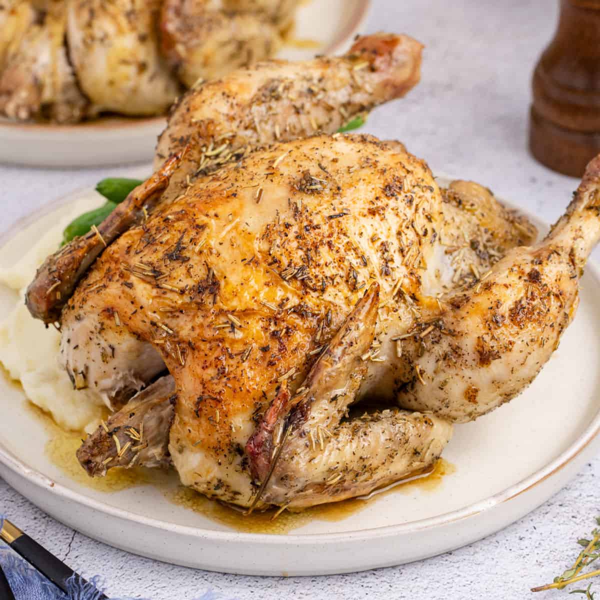 square image of a cornish game hen on a dinner plate with mashed potatoes and green beans