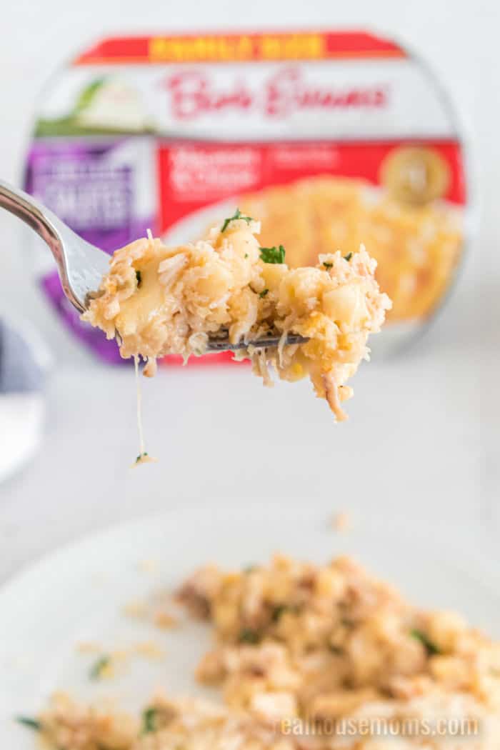 close up of a forkful of crab mac and cheese