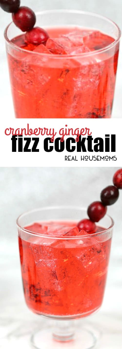 Cranberry Ginger Fizz Cocktail ⋆ Real Housemoms