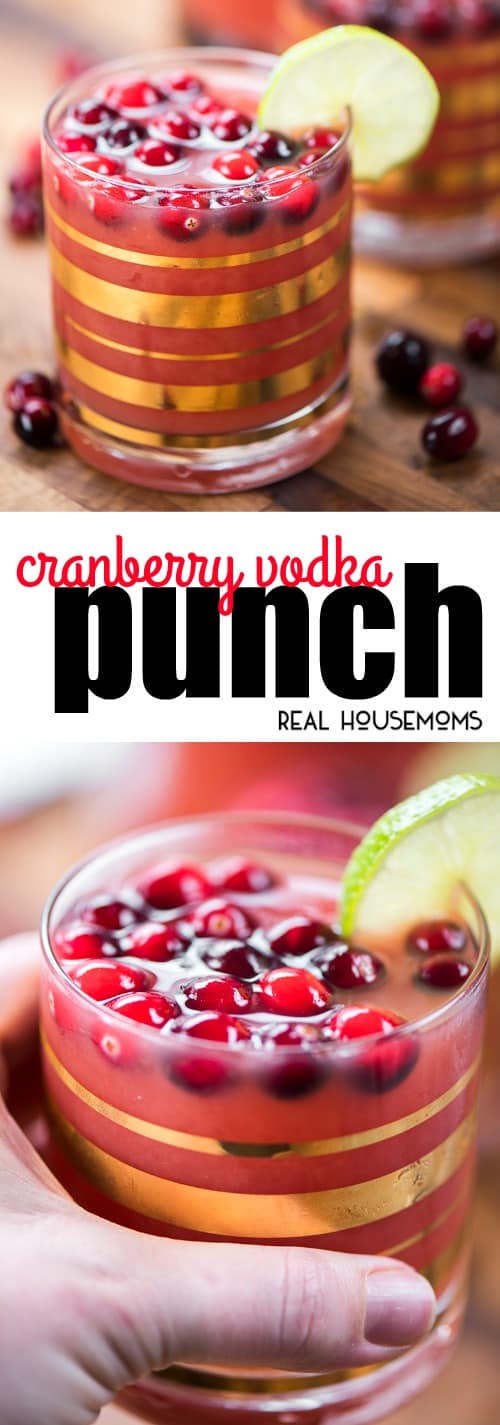 Cranberry Vodka Punch