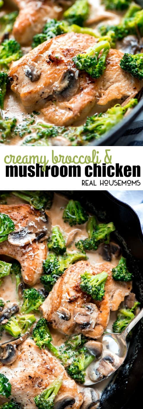 Creamy Broccoli And Mushroom Chicken ⋆ Real Housemoms