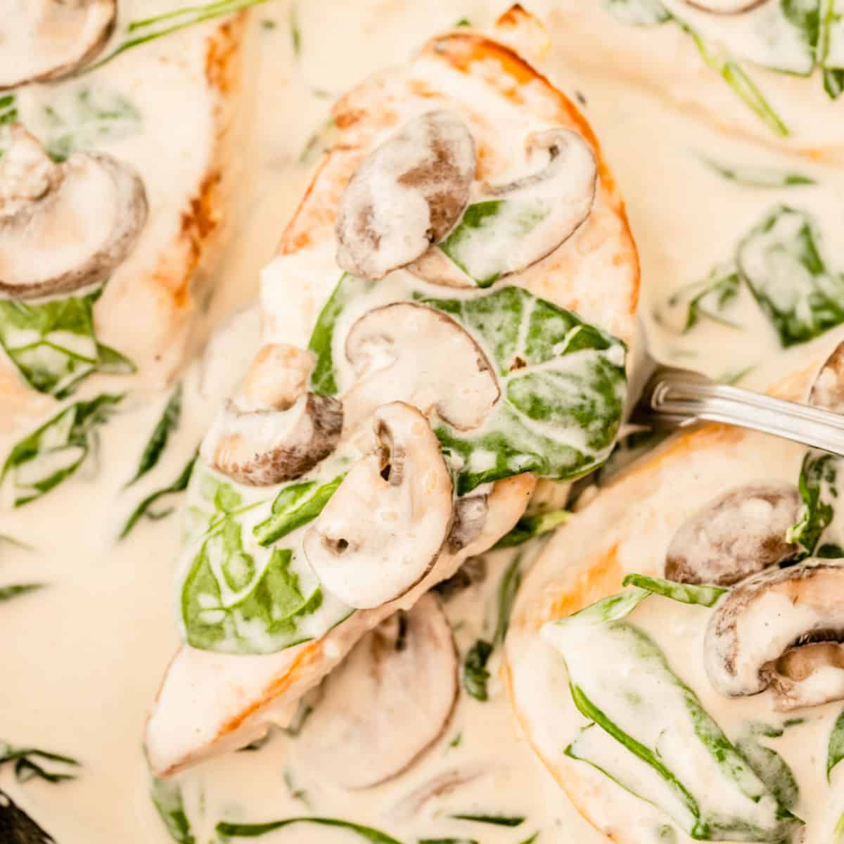 Creamy Chicken Florentine Recipe ⋆ Real Housemoms