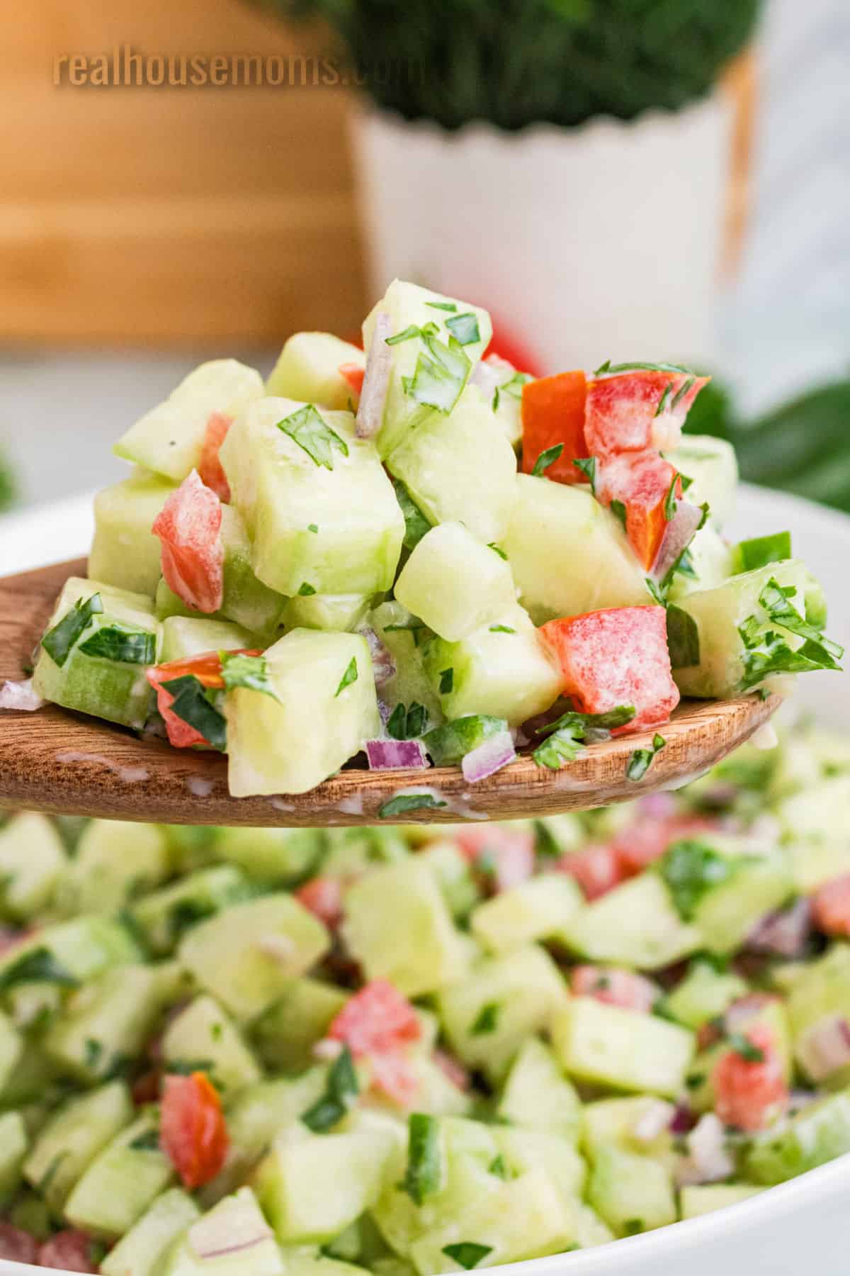 close up of a serving spoonful of creamy cucumber salsa