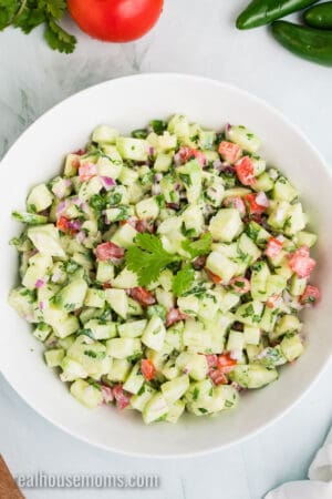 creamy cucumber salsa topped with a parsley sprig in a white serving bowl