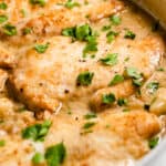 square image of creamy garlic butter chicken in a skillet with chopped parsley on top