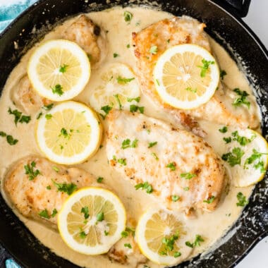 square image of creamy lemon chicken breasts in a skillet with lemon slices and parsley
