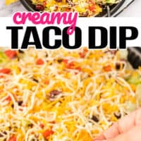 top picture is over the top shot of a bowl of Creamy Taco Dip bottom picture is a hand dipping a chip into the creamy taco dip