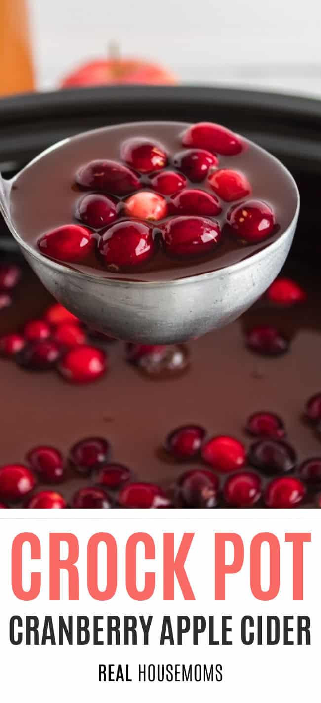 Apple Cranberry Cider in a ladle over the crock pot