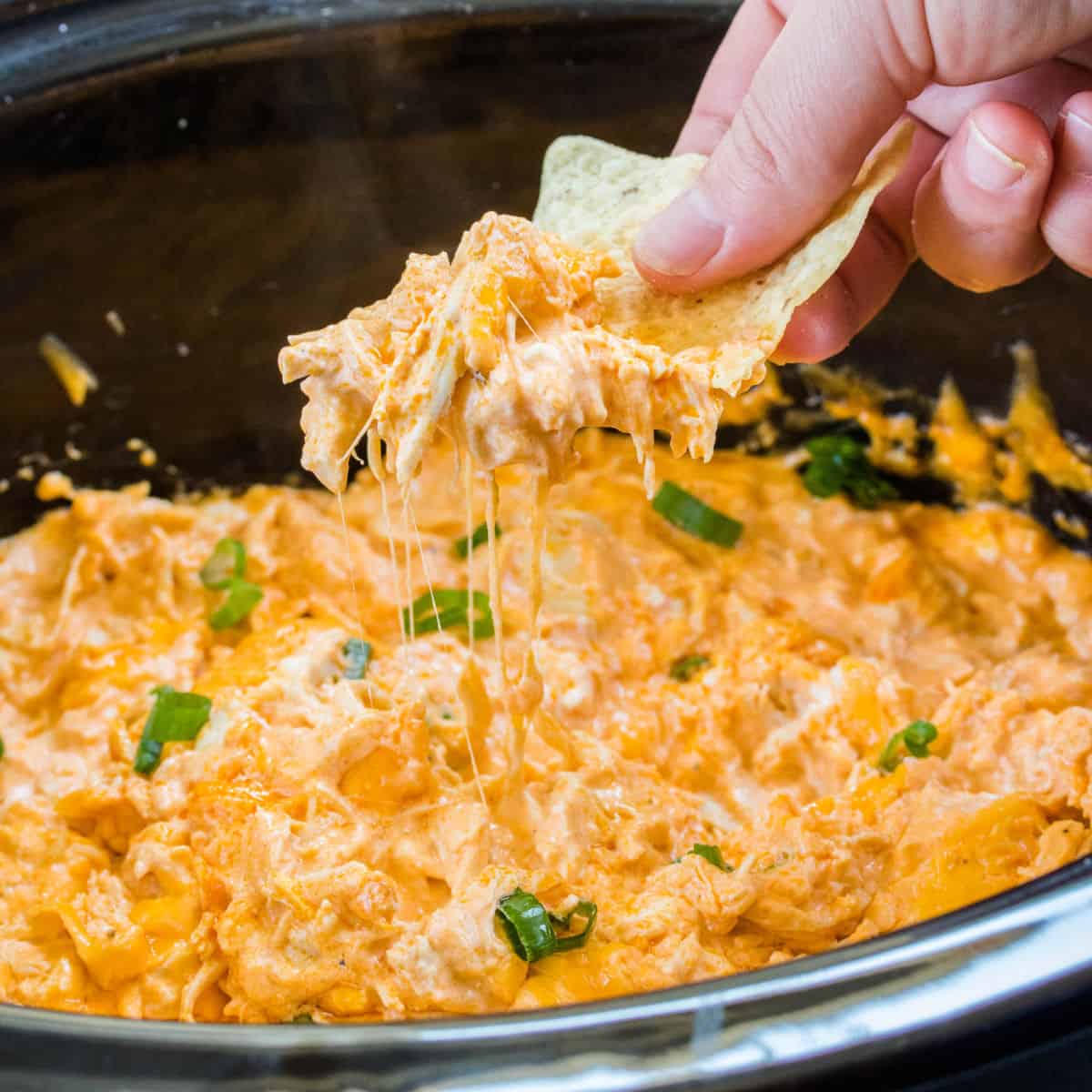 Crockpot Buffalo Chicken Dip Recipe