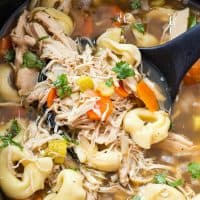 CROCK POT CHICKEN TORTELLINI SOUP is the easiest chicken noodle soup you will ever make! It's sure to become a fall and winter staple at your house!