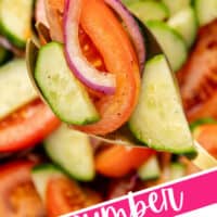 close up of angled view of cucumber tomato salad in a serving bowl with a gold spoon resting in the salad with the title of the post on the bottom of the pic in a diagnoal banner in pink and black colors