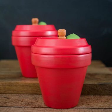 Perfect for teacher gifts and more, create these adorable DIY Apple Terracotta Pots in just a few easy steps!