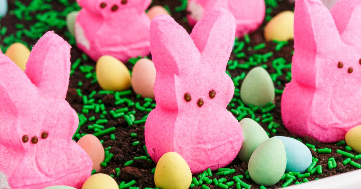 Funny Easter Bunny Dish Sponges Kitchen Rabbit Bottom Cute Scrub